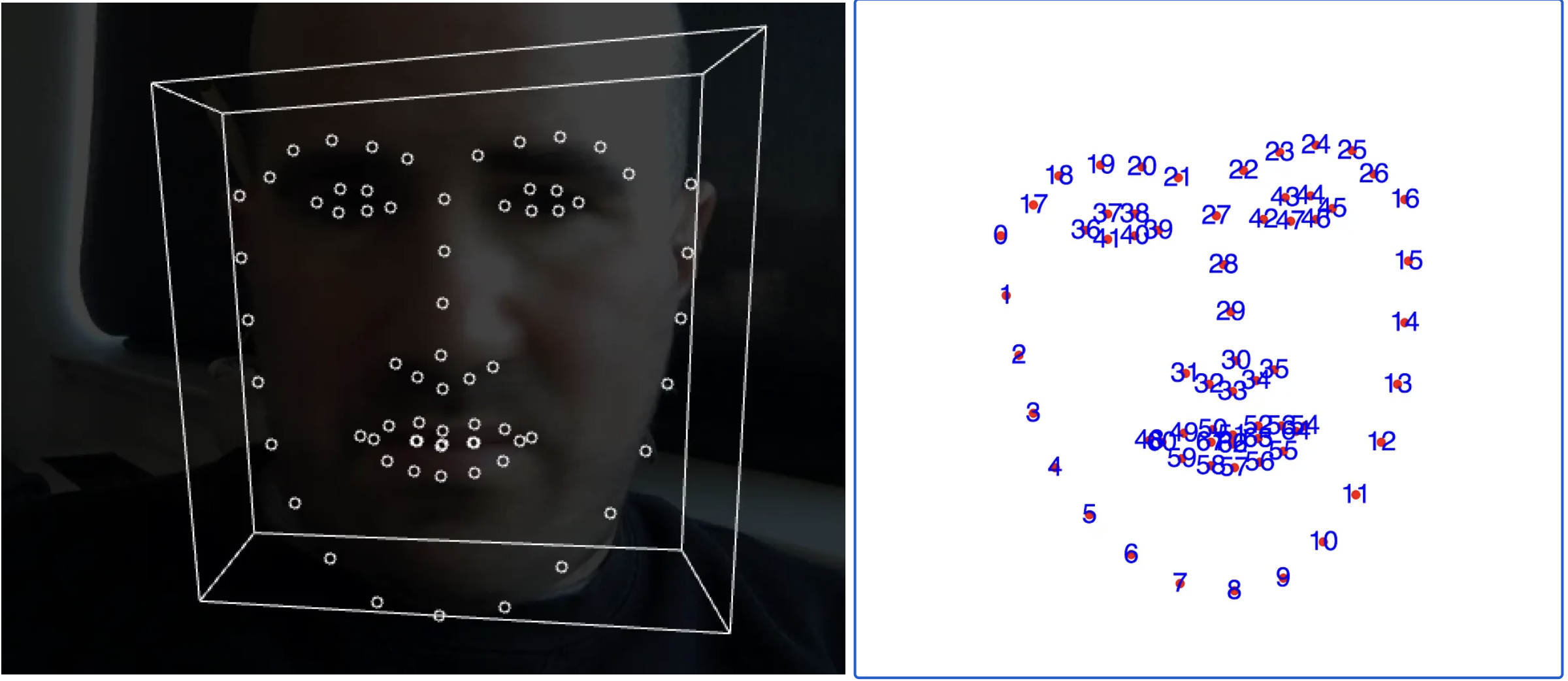 Facial Analysis
